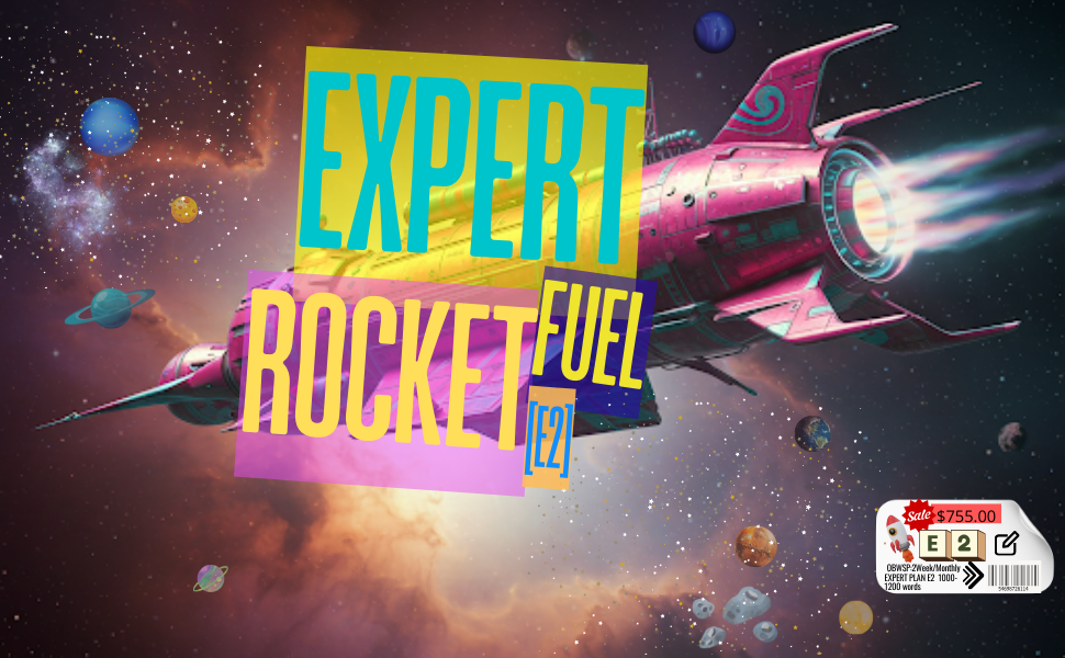 Ongoing Blog Writing Services Plan E2: Expert Rocket Fuel